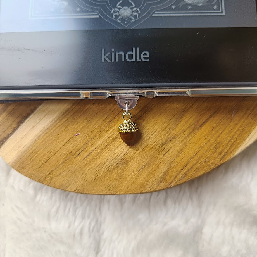 Acorn dust plug